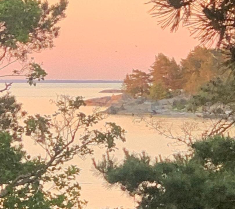 Photo of Others in Kemionsaari