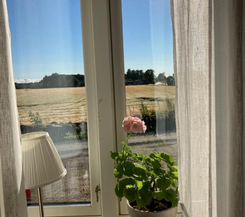 Photo of Others in Hoor