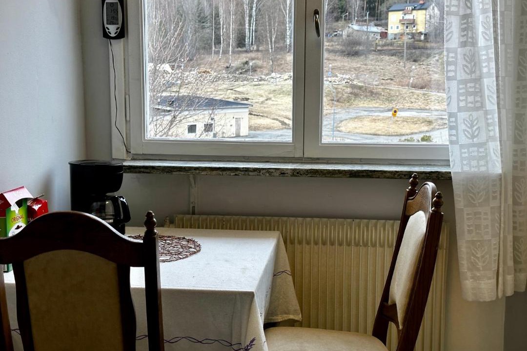 Photo of Others in Ljungaverk