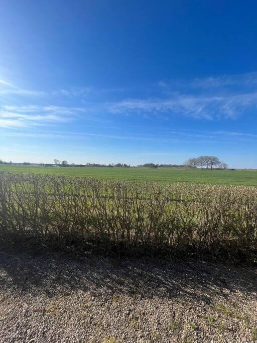 Photo of Outdoor in Ystad