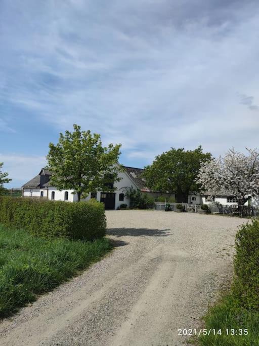 Photo of Others in Ystad