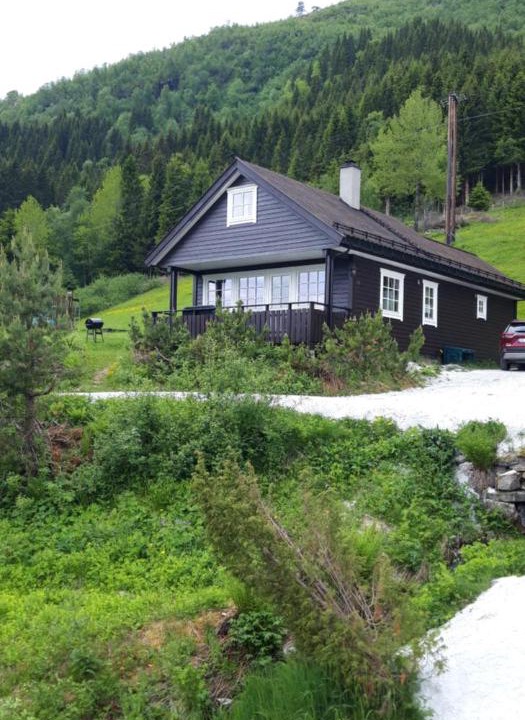 Photo of Others in Stalheim