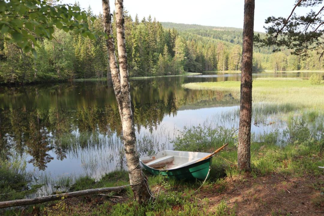 Photo of Others in Torsby