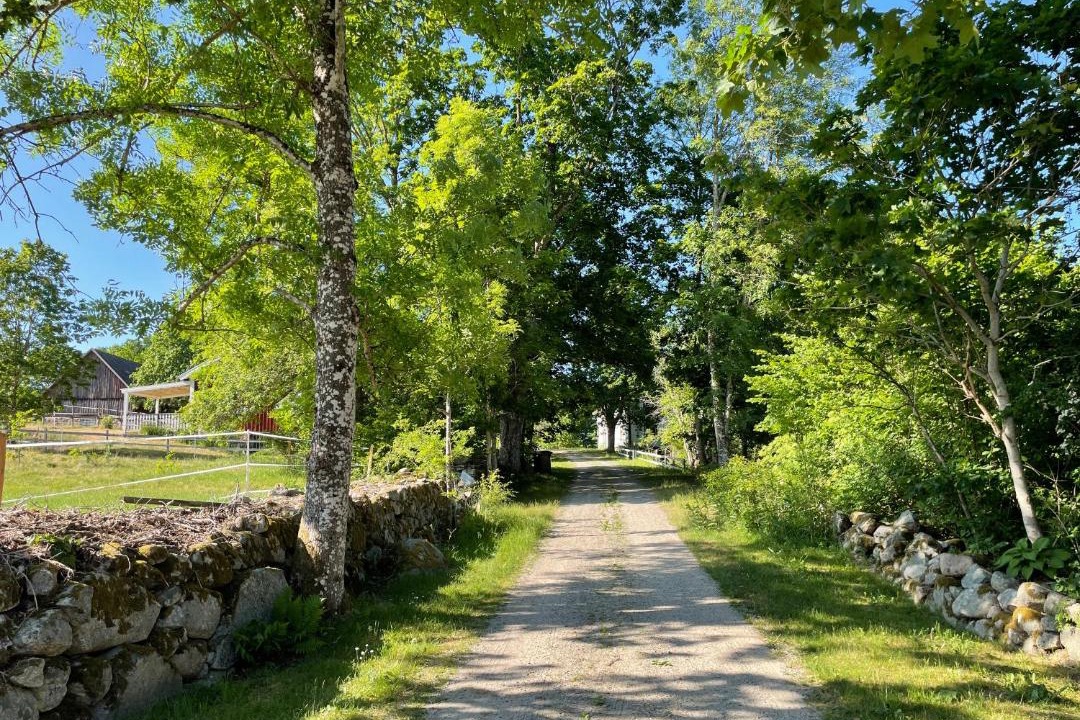 Photo of Others in Tingsryd