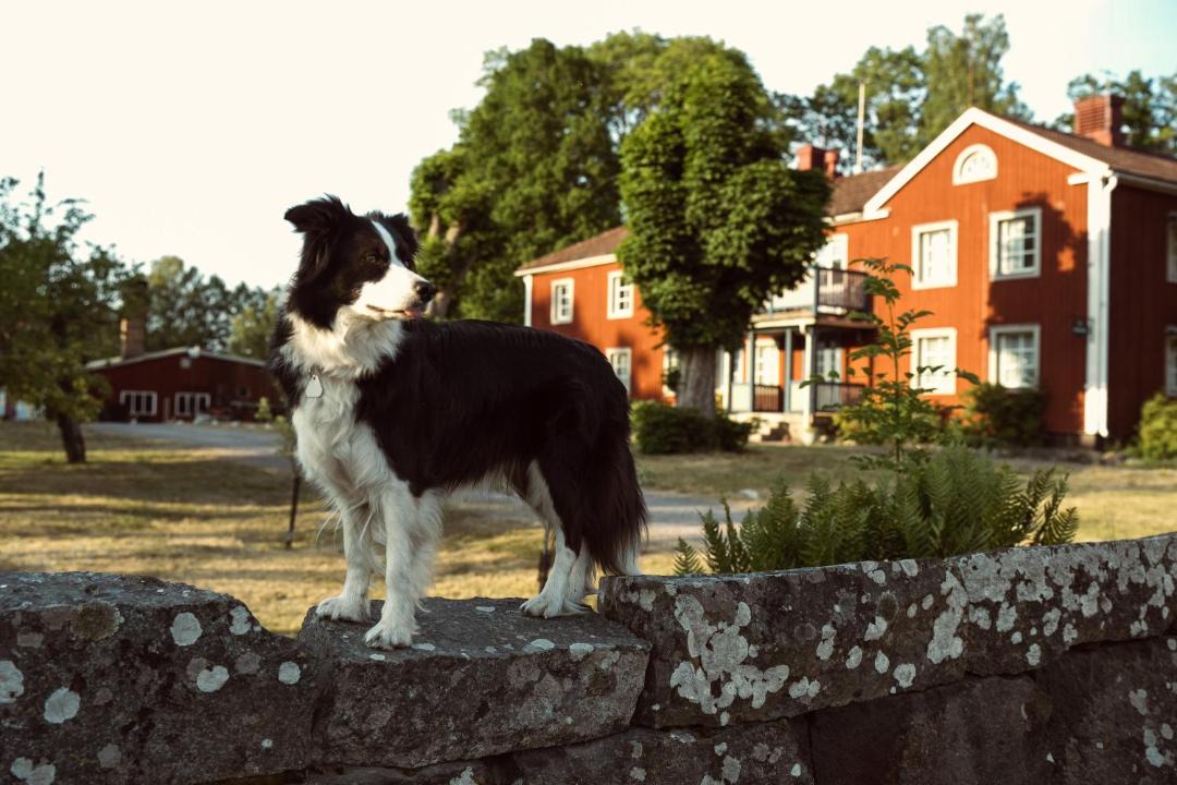 Photo of Others in Emmaboda