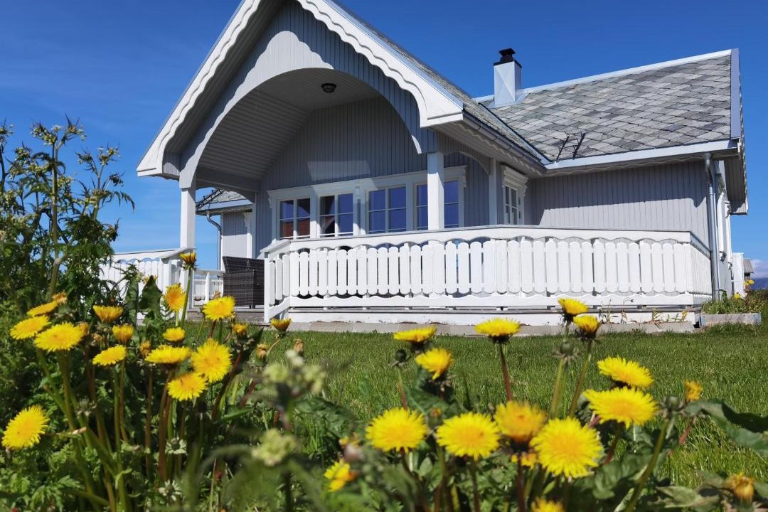 Photo of Others in Flakstad