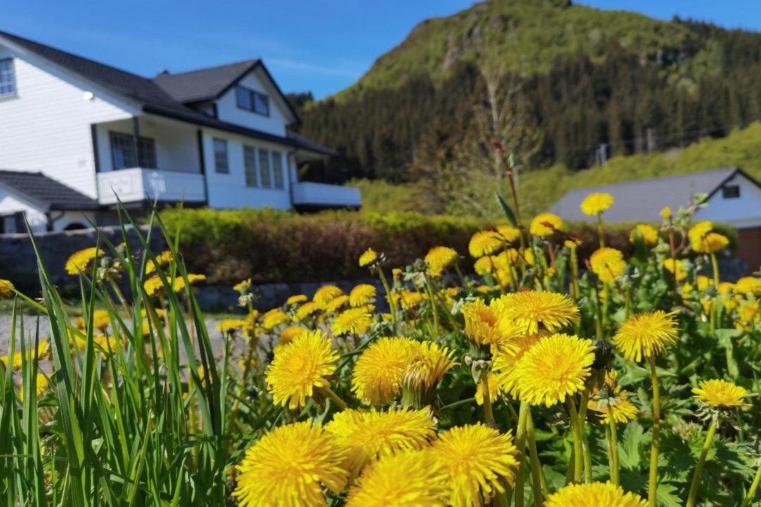 Photo of Others in Gravdal