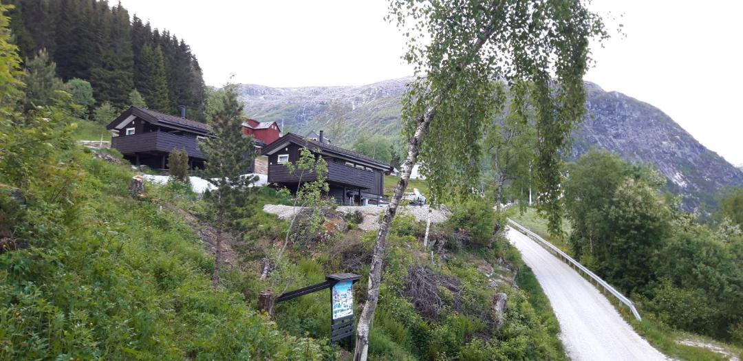 Photo of Others in Stalheim