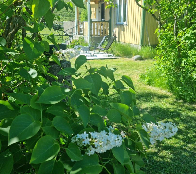 Photo of Buildings in Stromstad O