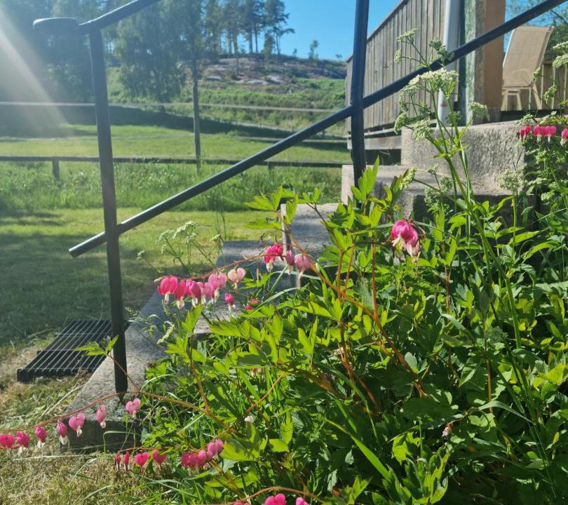 Photo of Others in Stromstad O