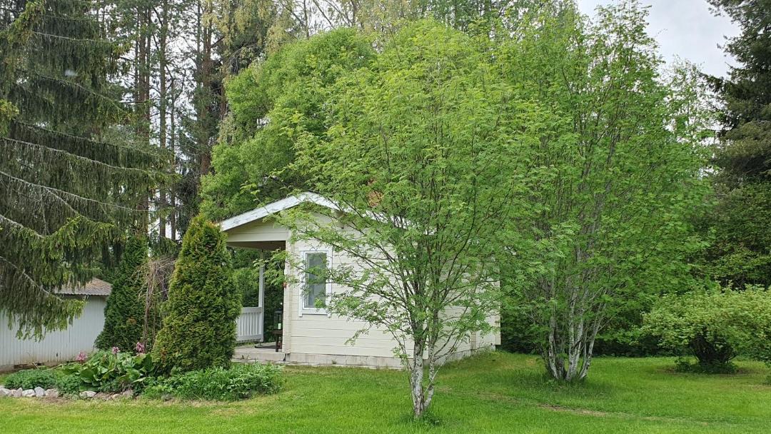 Photo of Others in Haapavesi