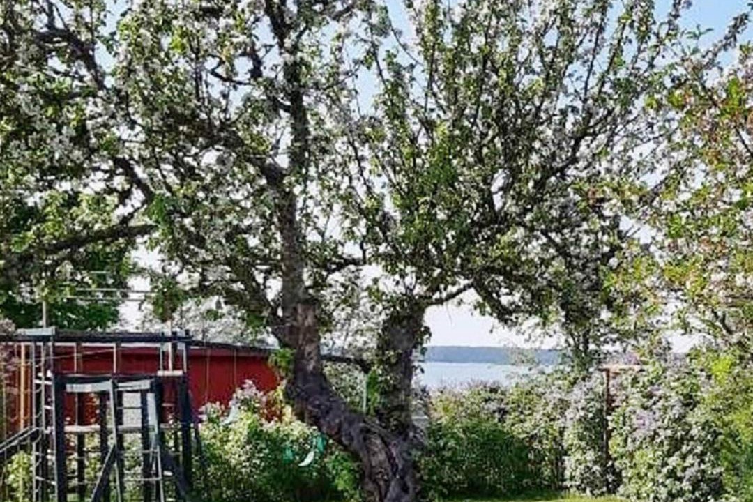 Photo of Others in Mariestad