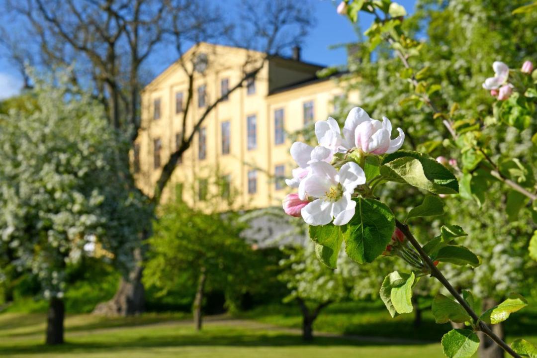 Photo of Others in Knivsta