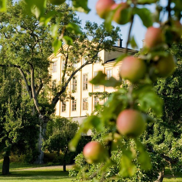 Photo of Others in Knivsta