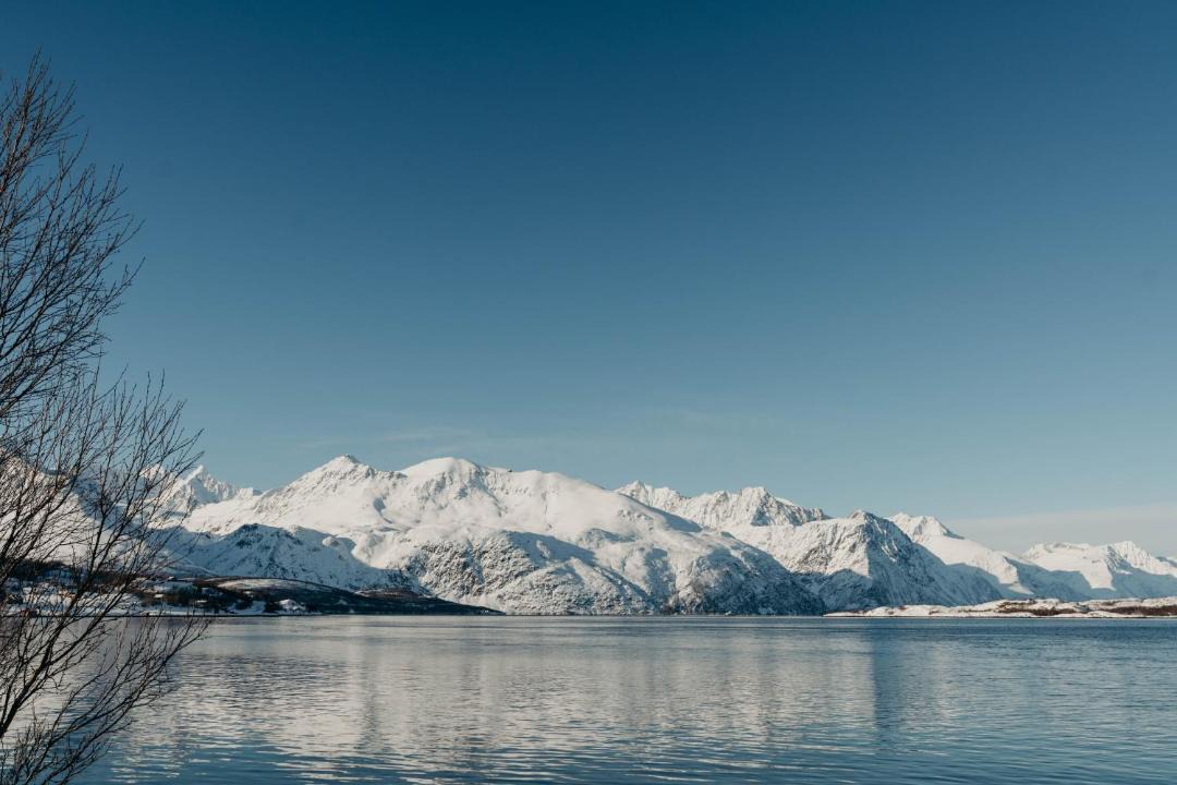 Photo of Others in Lyngen