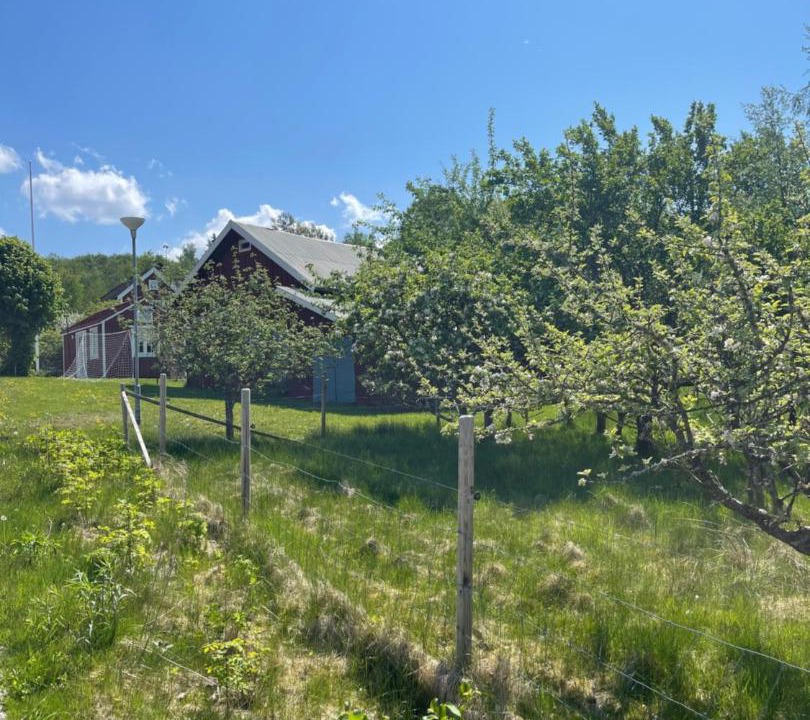 Photo of Others in Ulricehamn Municipality
