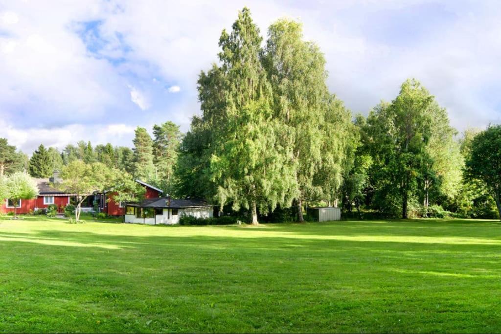 Photo of Others in Umea