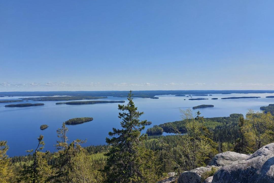 Photo of Others in Koli National Park