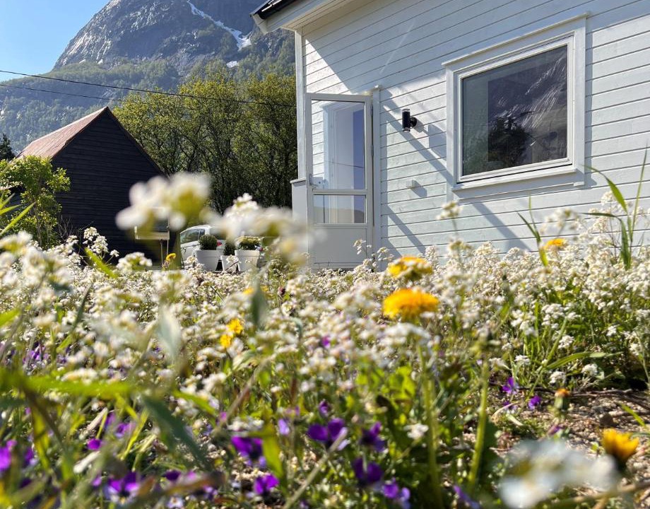 Photo of Others in Eidfjord