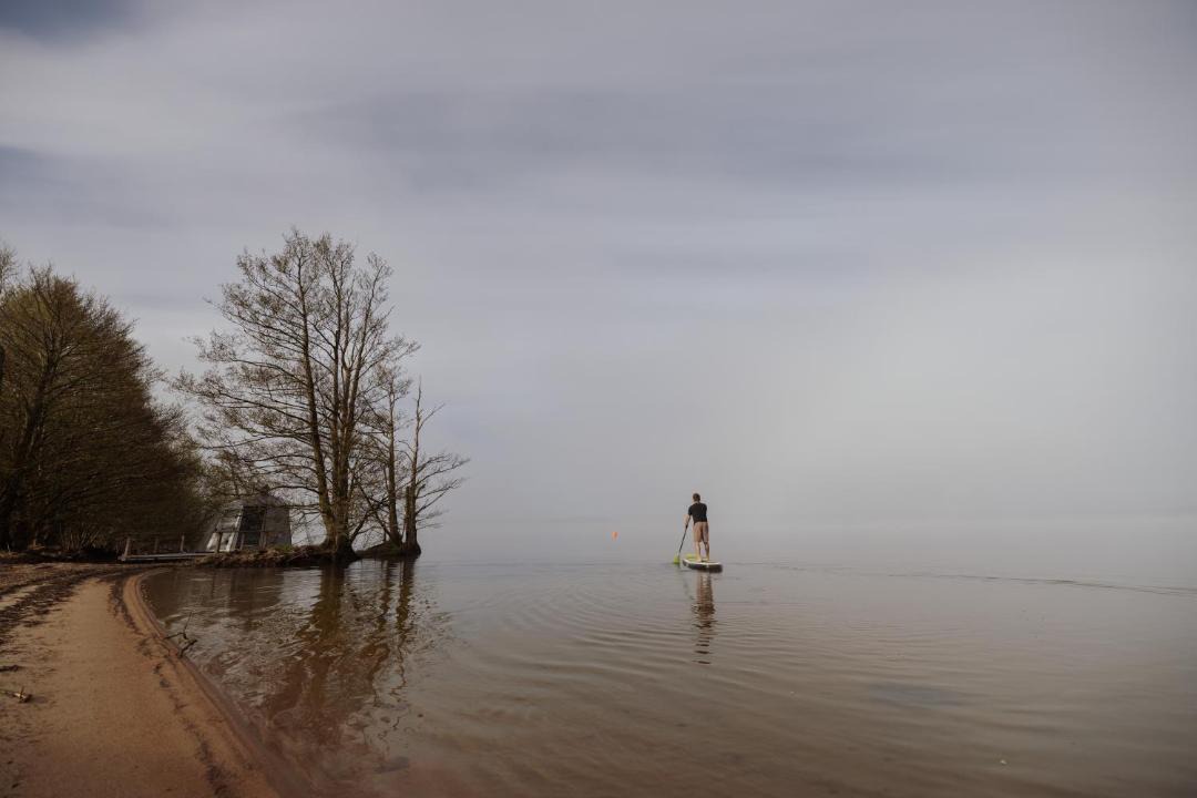 Photo of Human In Picture in Hoor