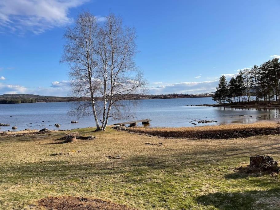 Photo of Others in Leksand