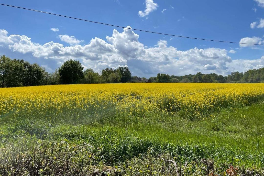 Photo of Outdoor in Skivarp