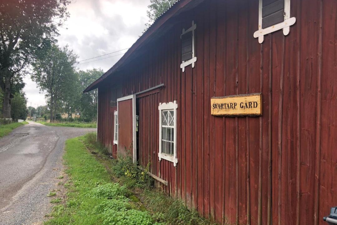 Photo of Buildings in Aseda
