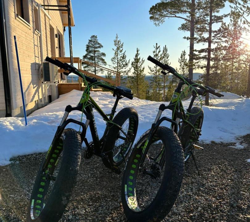 Photo of Others in Inari
