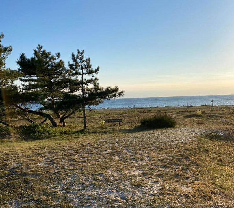 Photo of Outdoor in Strandbaden