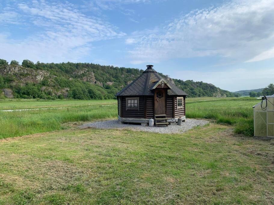 Photo of Others in Fagerfjall