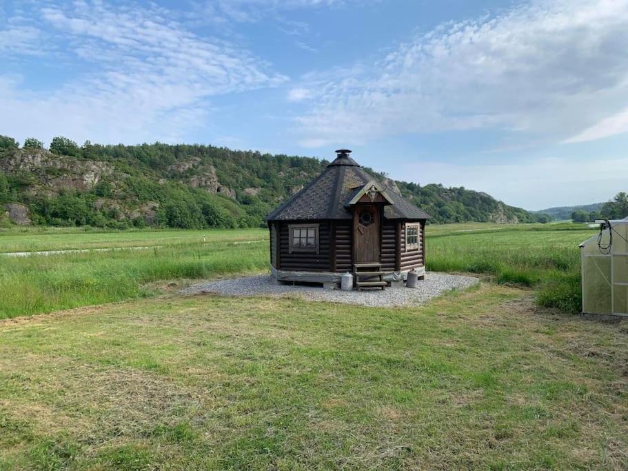 Photo of Others in Fagerfjall