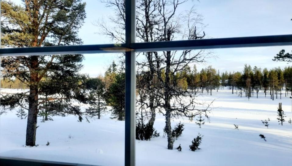 Photo of Outdoor in Saariselka