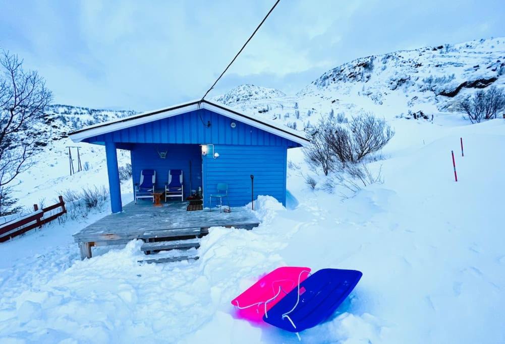 Photo of Others in Hammerfest