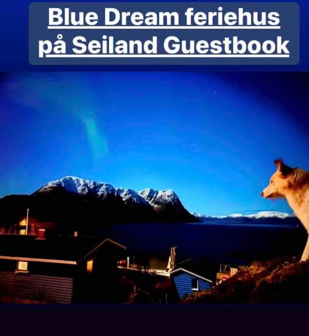 Photo of Others in Hammerfest