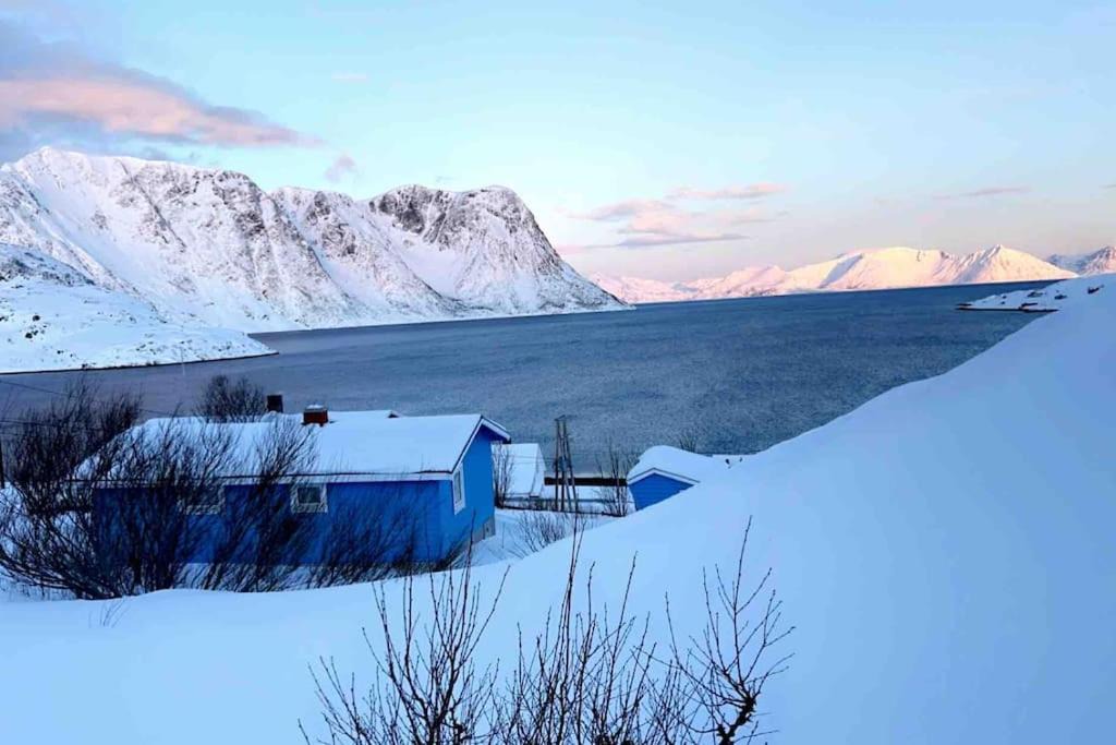 Photo of Others in Hammerfest