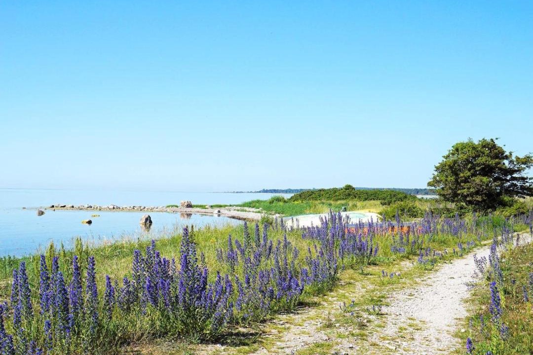 Photo of Others in Gotlands Tofta