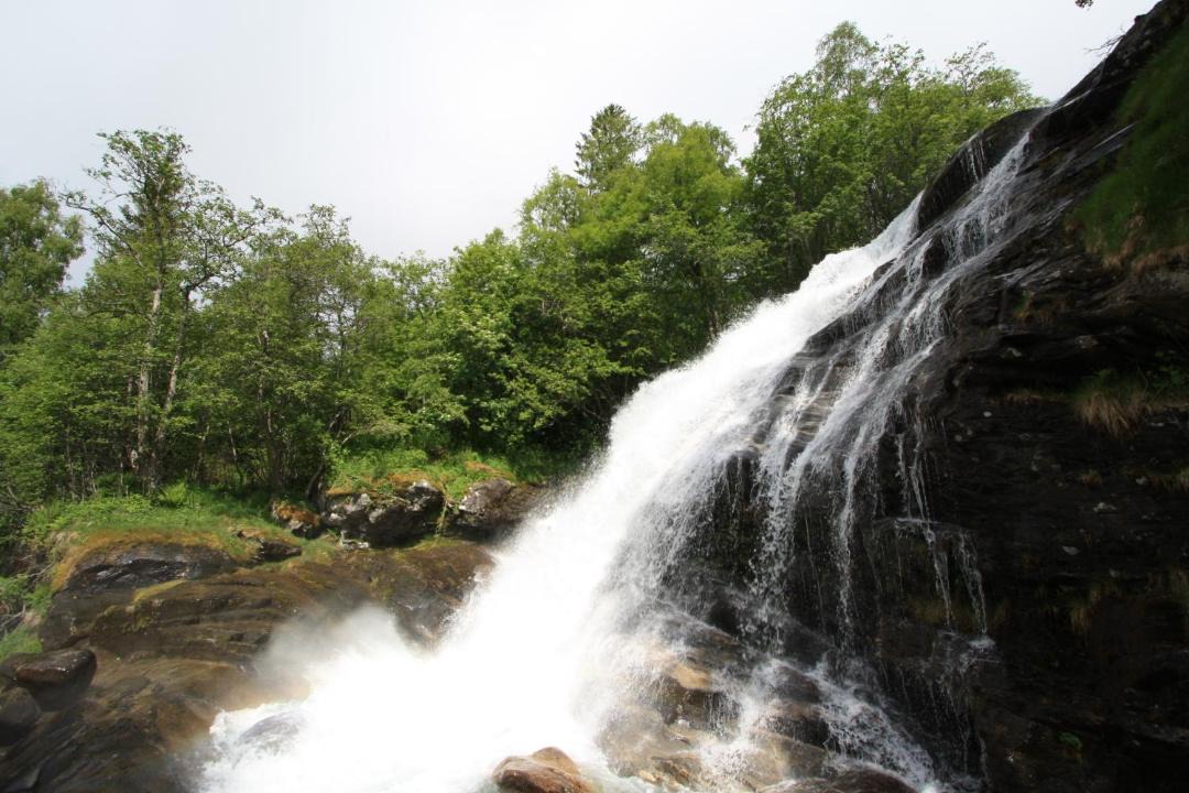 Photo of Others in Geiranger
