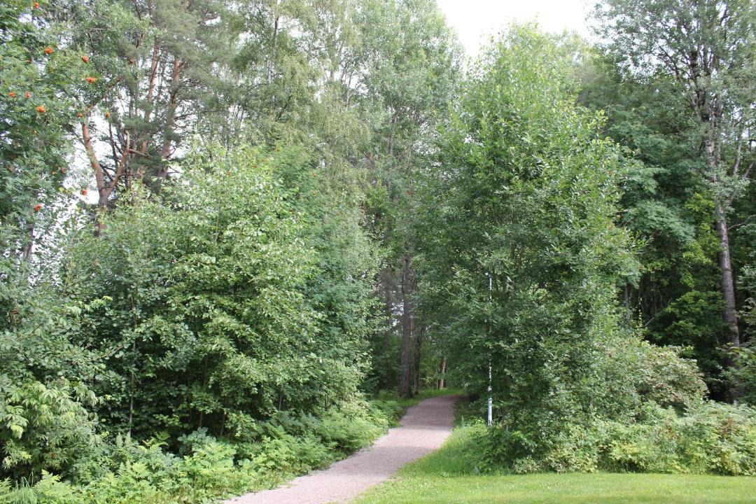 Photo of Others in Leksand