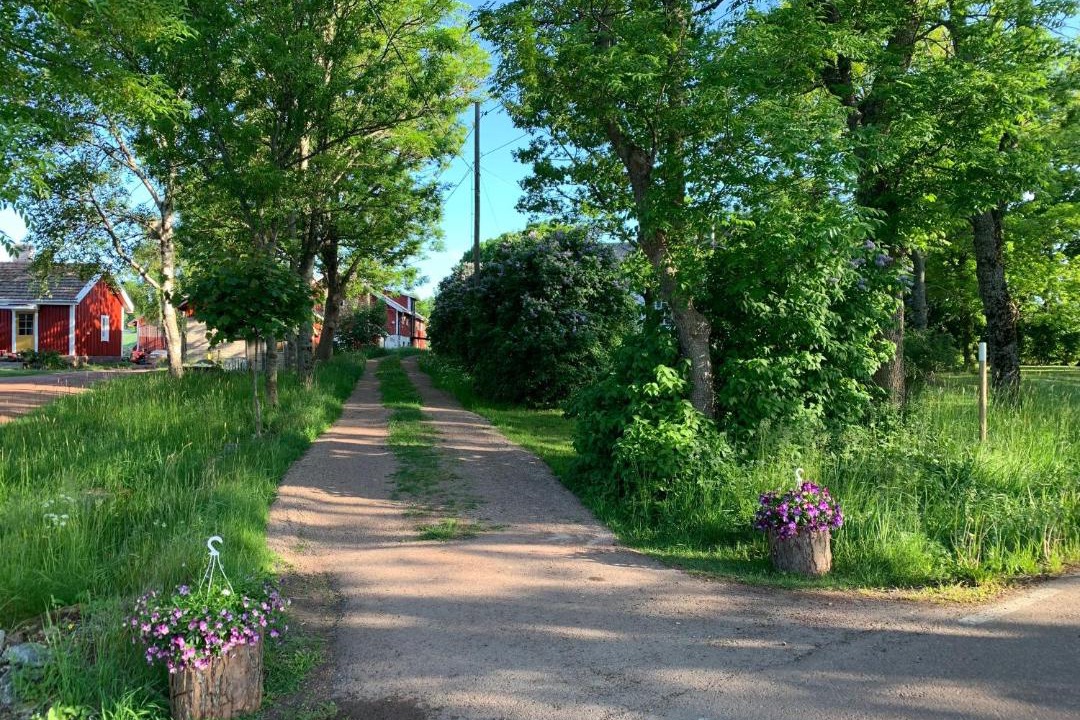 Photo of Others in Kumlinge