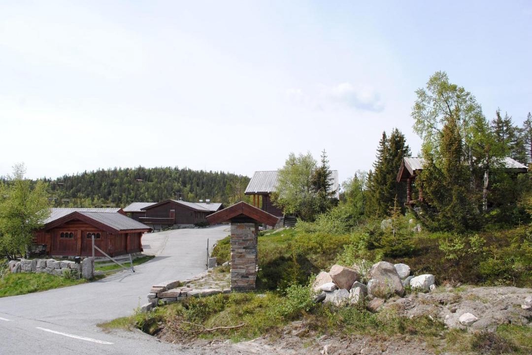 Photo of Buildings in B