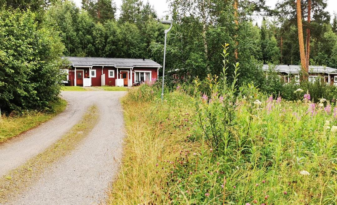Photo of Buildings in Bracke Municipality