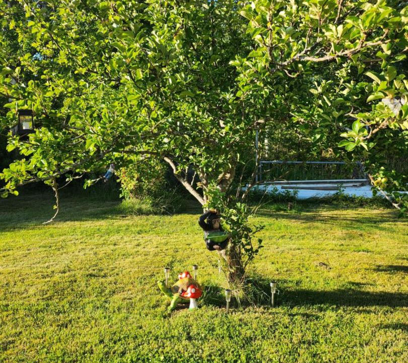 Photo of Others in Svarta