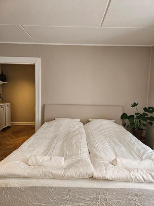 Photo of Bedroom in Gislov