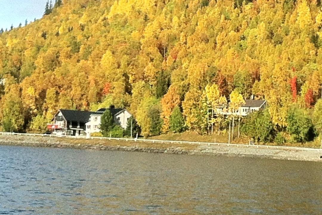 Photo of Others in Tarnaby