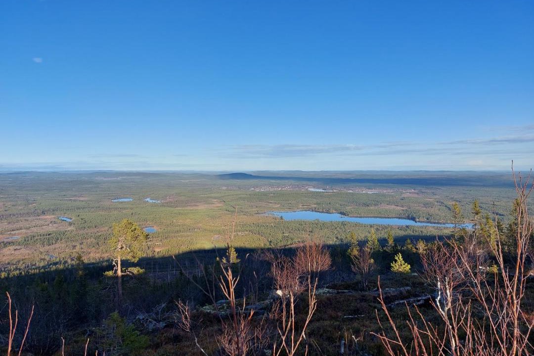 Photo of Others in Ytterhogdal