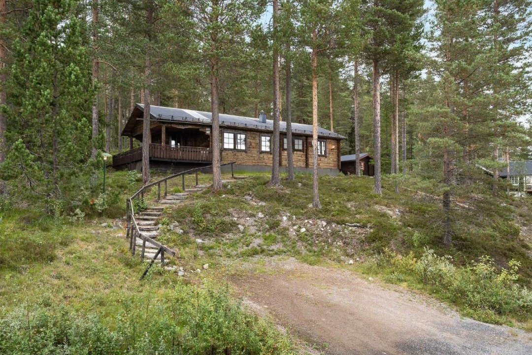 Photo of Others in Lofsdalen