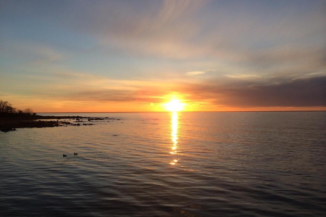 Photo of Others in Borgholm