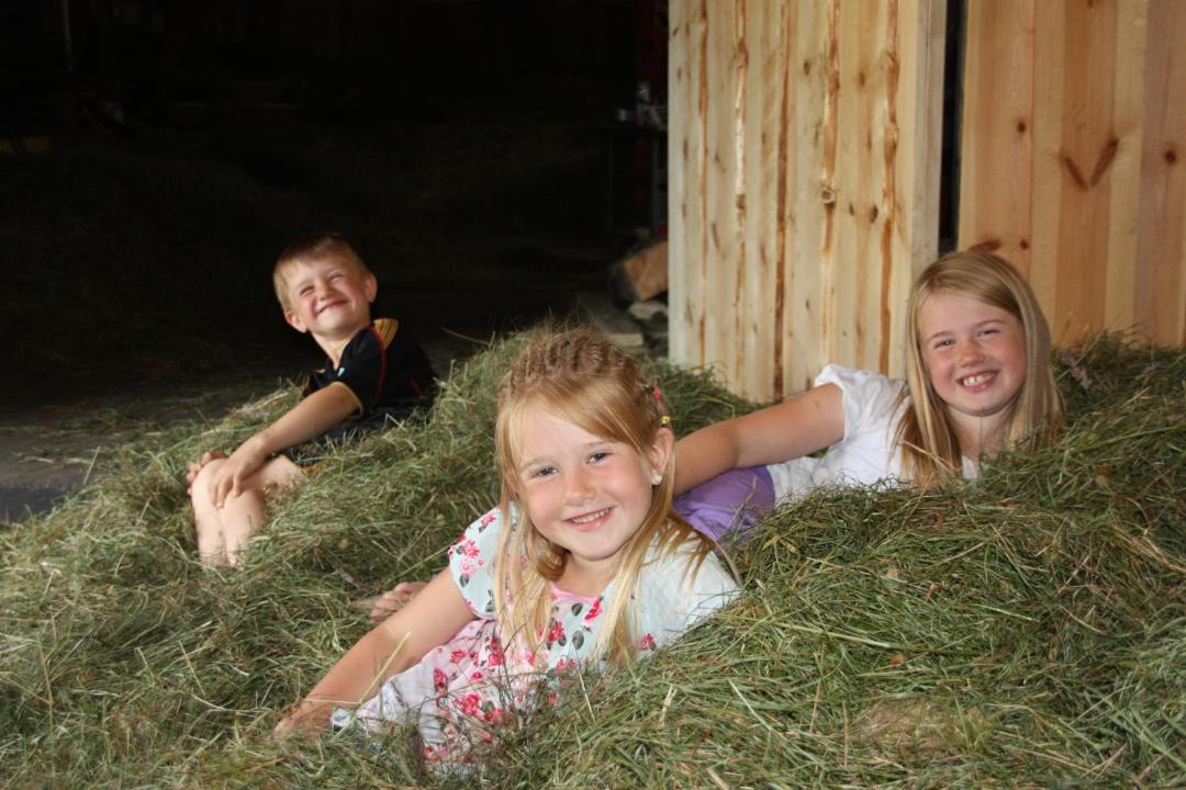 Photo of Others in Haugaland