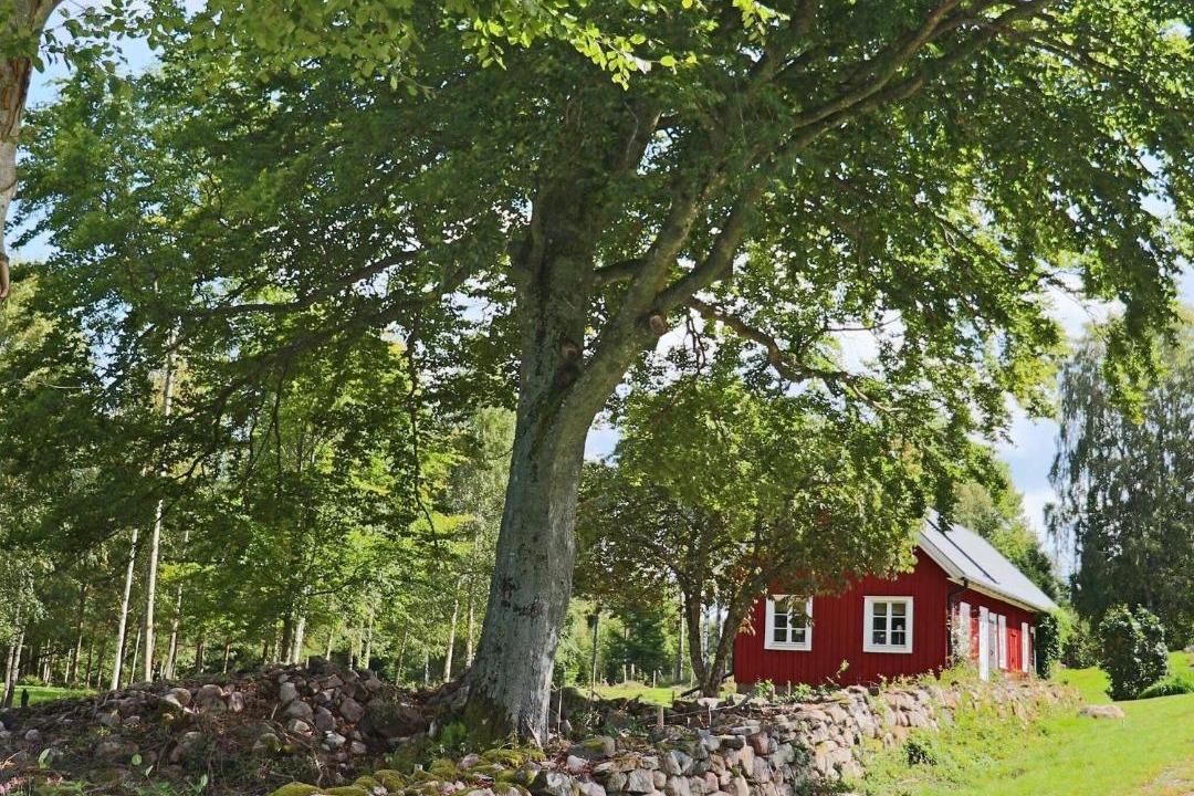 Photo of Others in Unnaryd