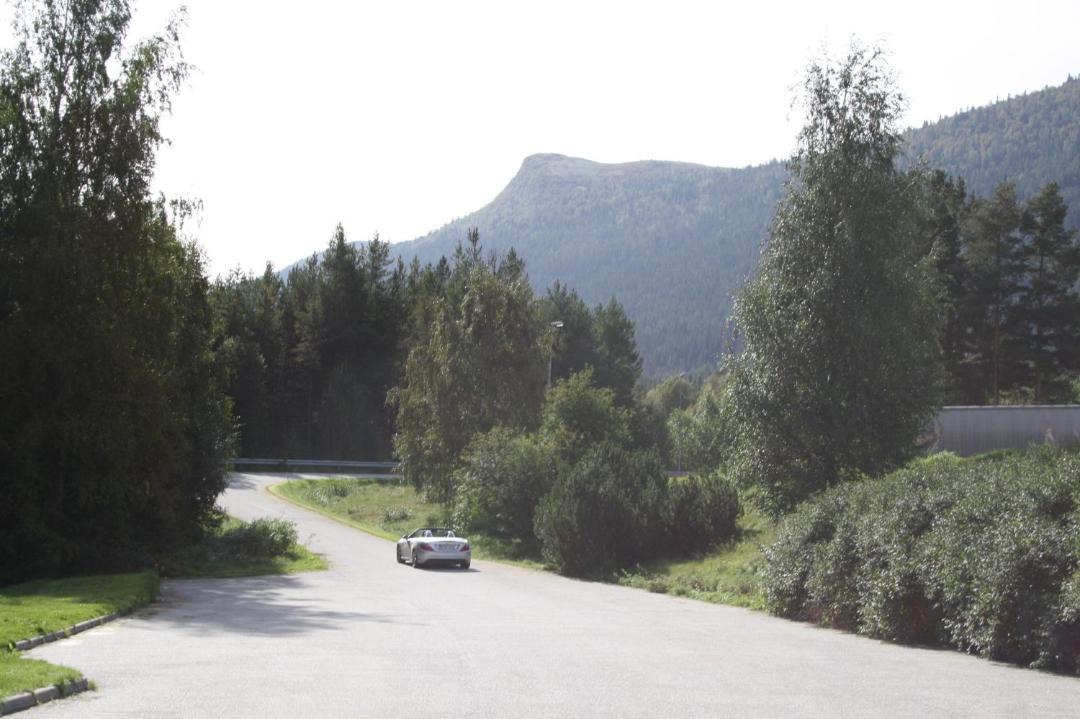 Photo of Others in Dovreskogen